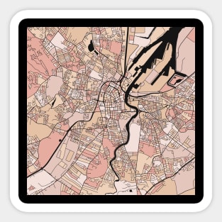 Belfast Map Pattern in Soft Pink Pastels Sticker